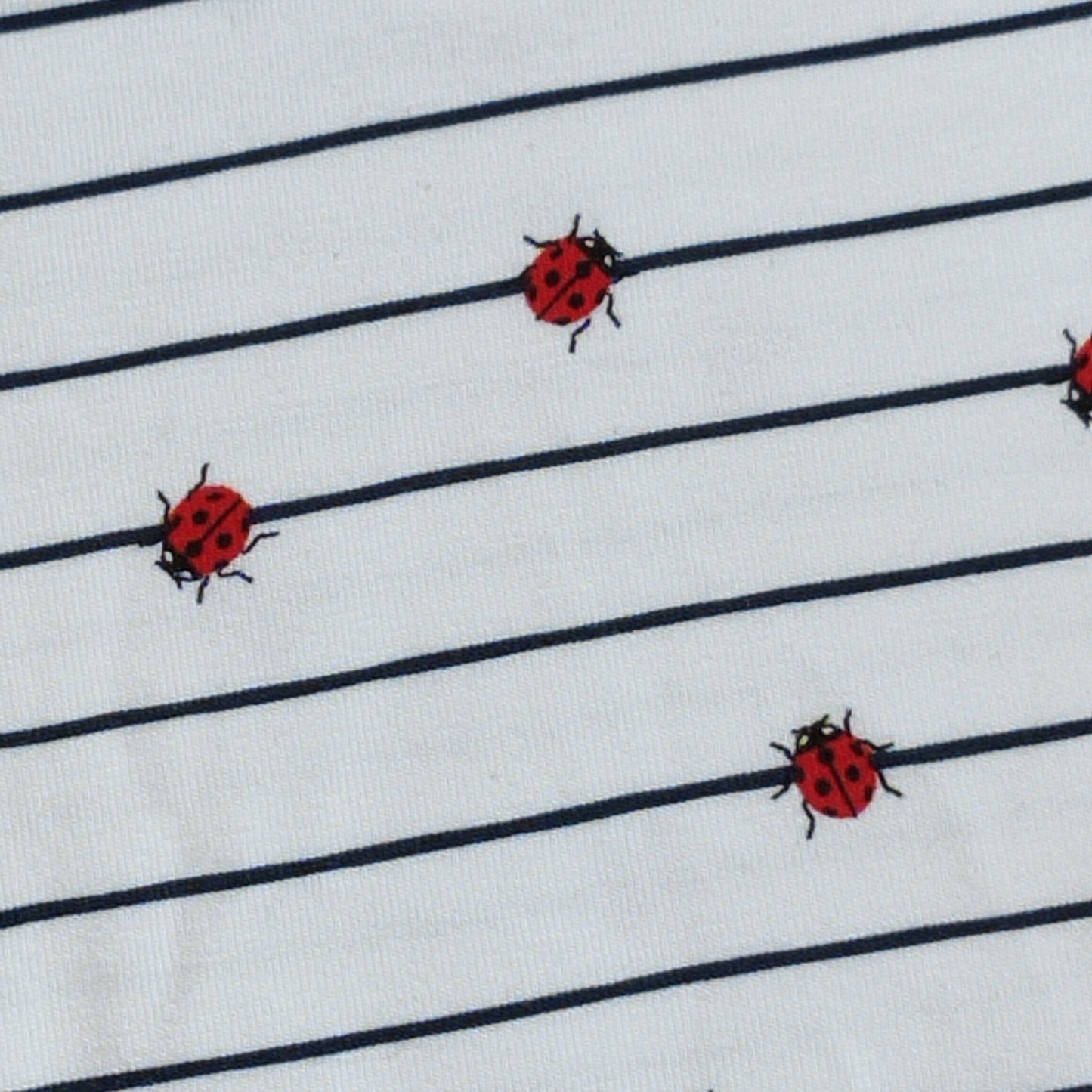 Romper Ladybugs size 68